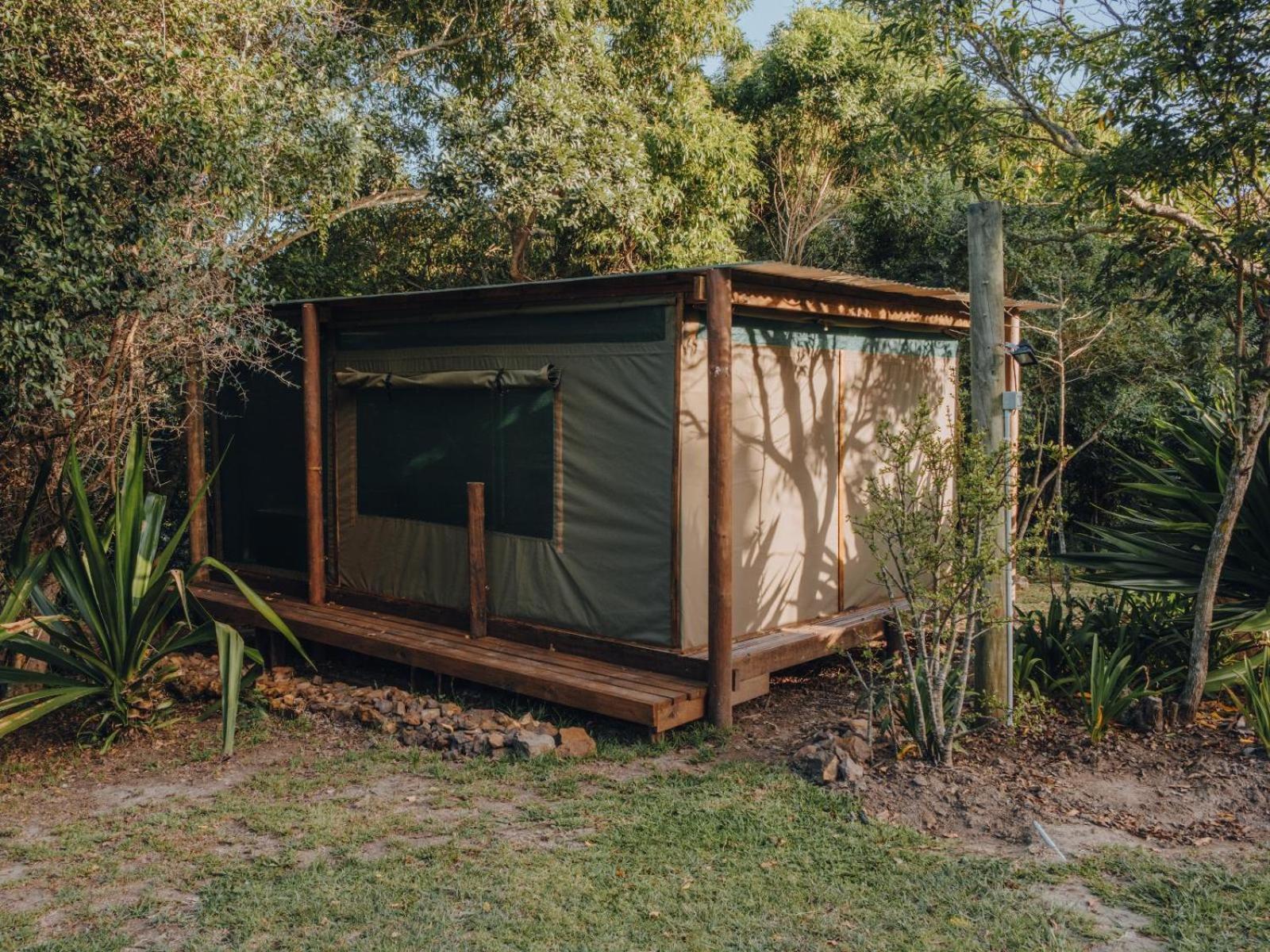 Firefly Falls Plettenberg Bay Exterior photo