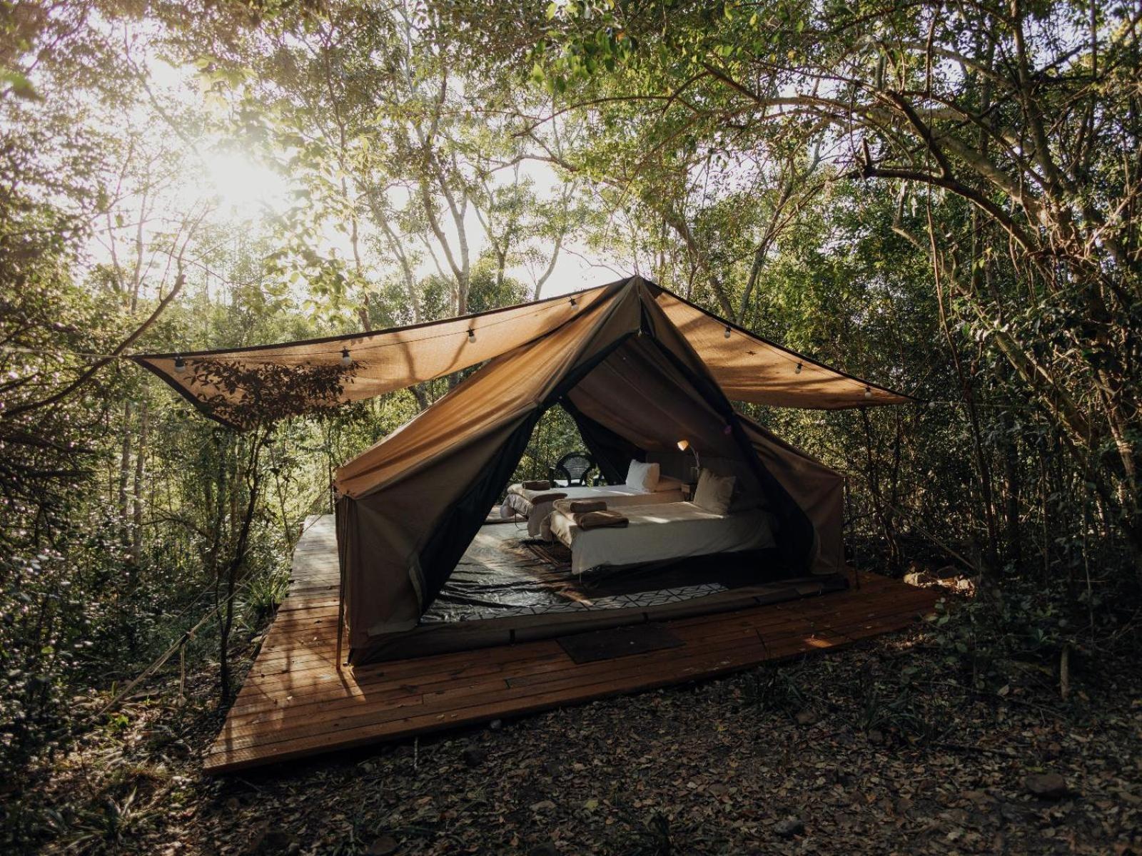 Firefly Falls Plettenberg Bay Exterior photo